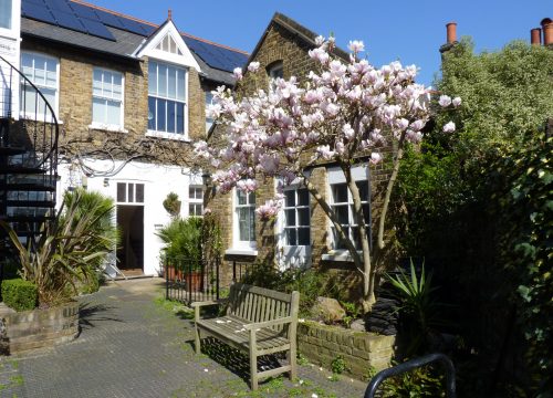 general view magnolia